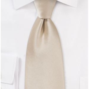 Shiny Champagne Colored Necktie