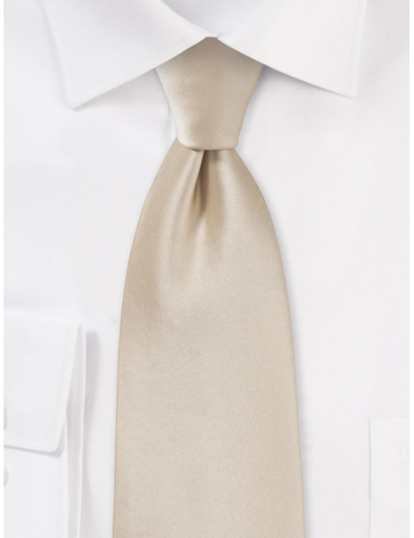 Shiny Champagne Colored Necktie