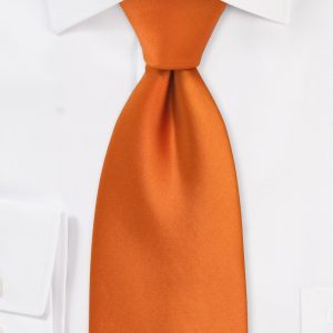 Solid Tie in Persimmon Orange