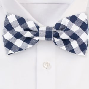 Blue and White Gingham Bow Tie