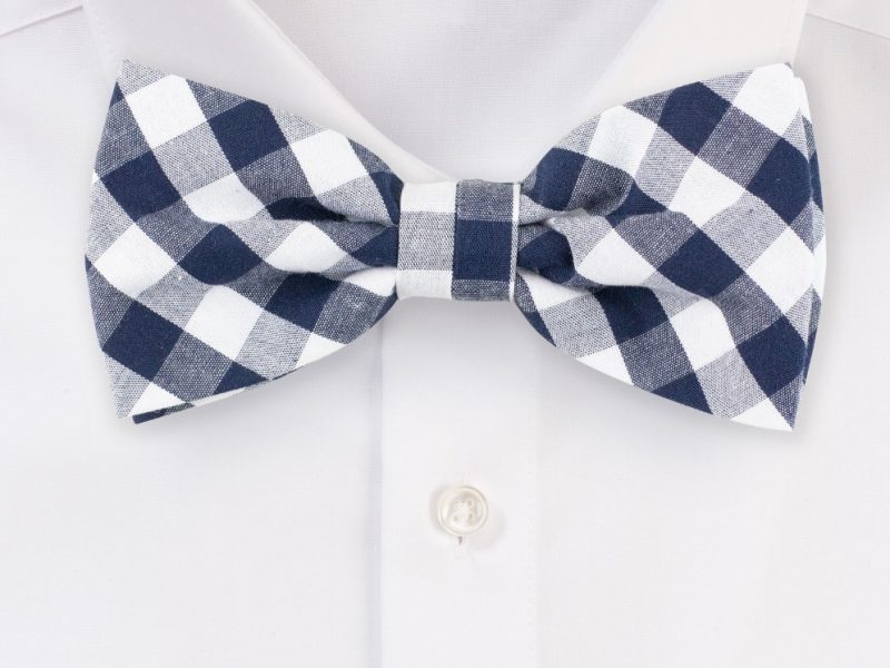 Blue and White Gingham Bow Tie